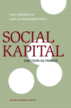 Bogcover til Social kapital