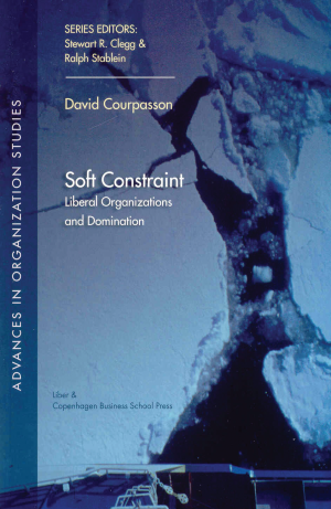 Bogcover til Soft Constraint
