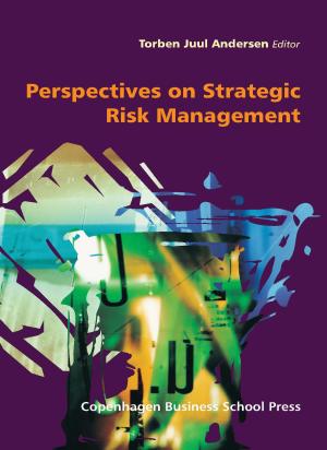 Bogcover til Perspectives on Strategic Risk Management