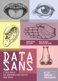Bogcover til Datasans